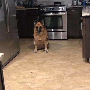 Meet your Posher, Mich